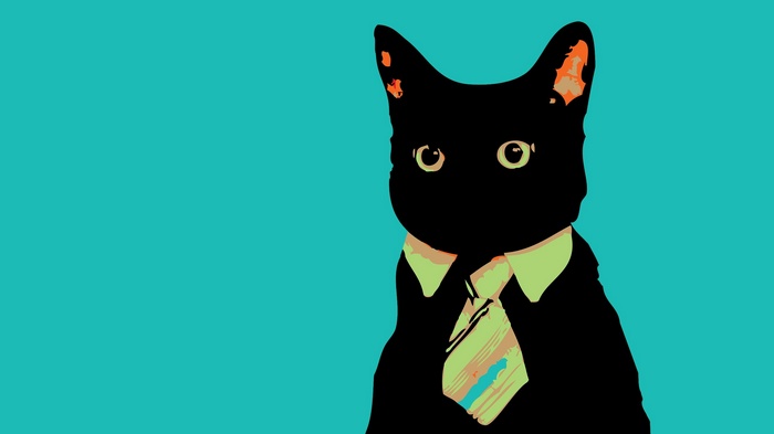 Black cat wearing a tie and shirt