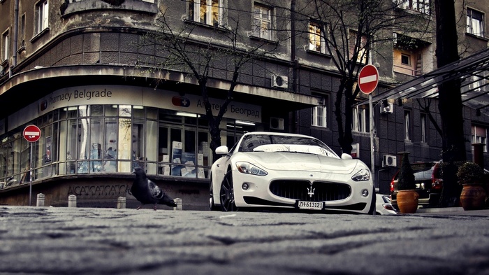 White Maserati GranTurismo parked in front of Pharmacy Belgrade