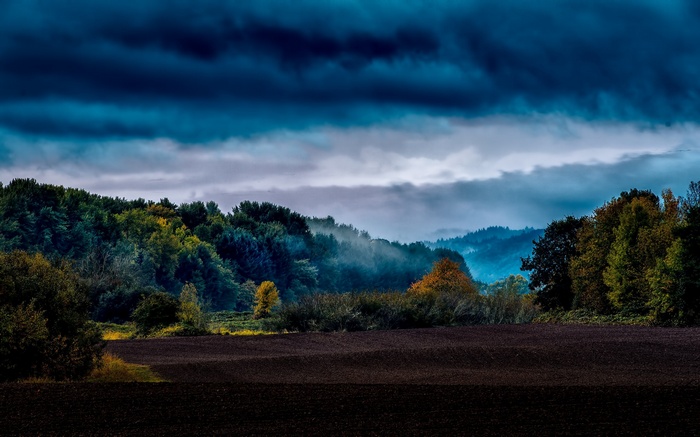 Misty forest landscape with dark clouds