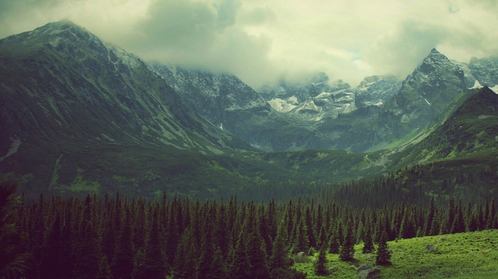 Mountains and forest with clouds