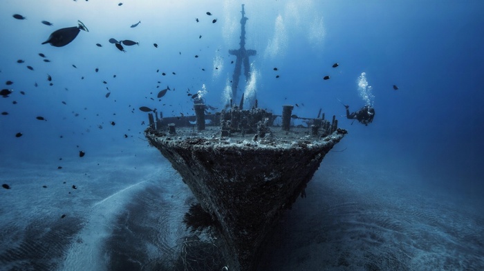 Divers explore a sunken shipwreck surrounded by fish