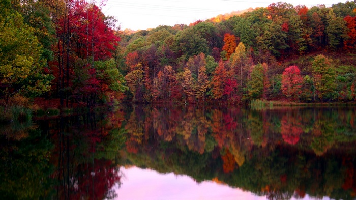 Autumn forest reflected in a lake