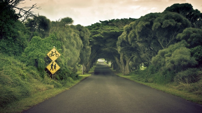 Road lined with trees and traffic signs