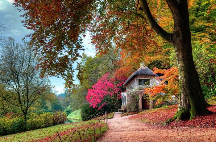 cottage, path, moss, nature, shrubs, leaves, pink, dirt road, landscape, orange, trees, fall, green, garden