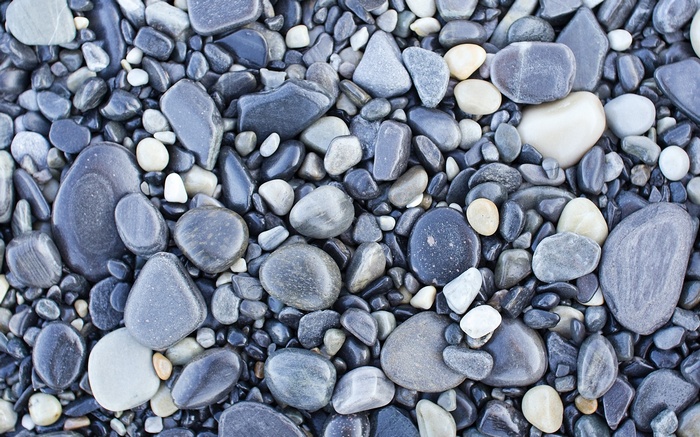 Close-up view of various grey and white pebbles on a surface.