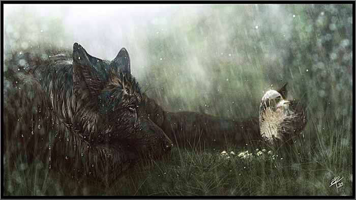 Anthro wolf crying in the rain