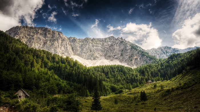 Mountain landscape with forest and cabins