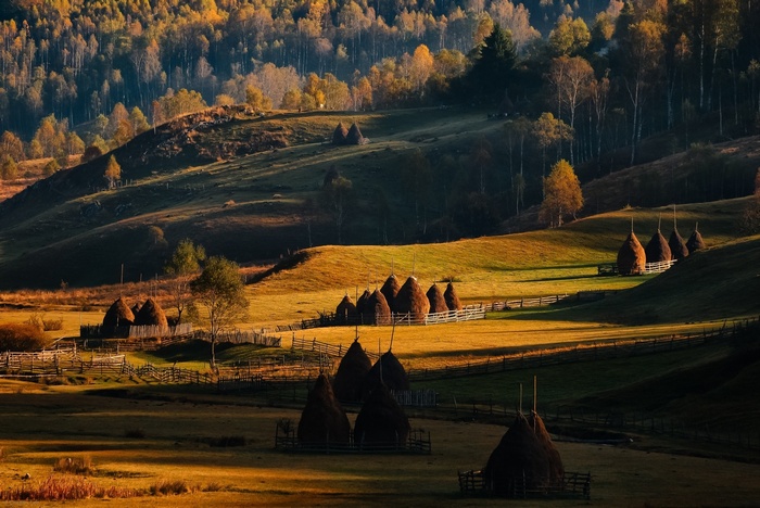 Haystacks in a Romanian landscape during autumn