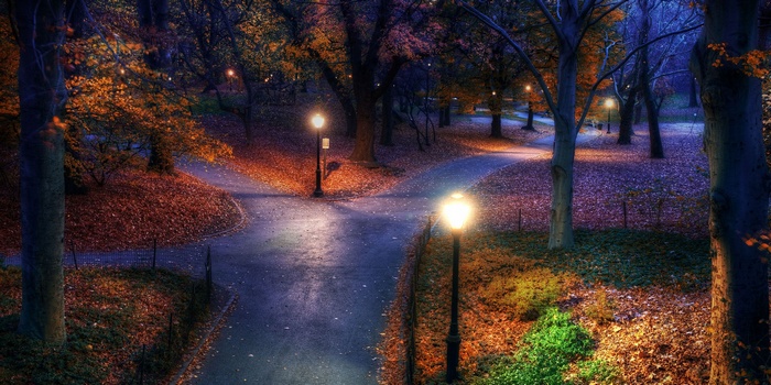 Park walkway with street lights in autumn at night