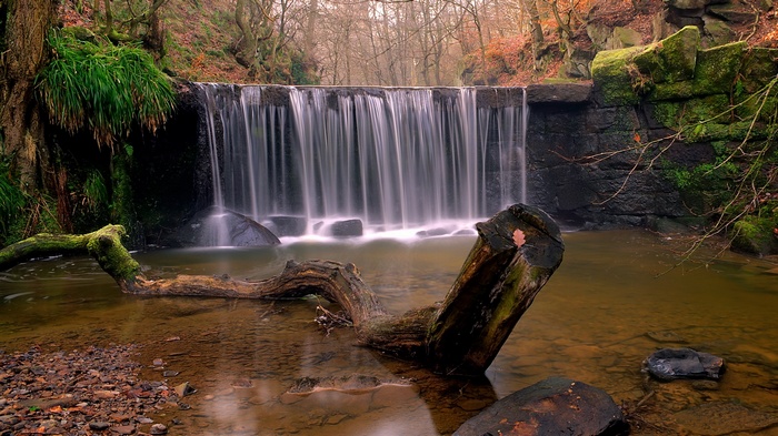 Waterfall in a forest with a fallen log