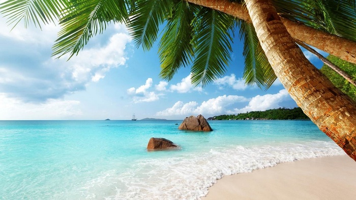 Tropical beach with palm trees and turquoise sea in Seychelles