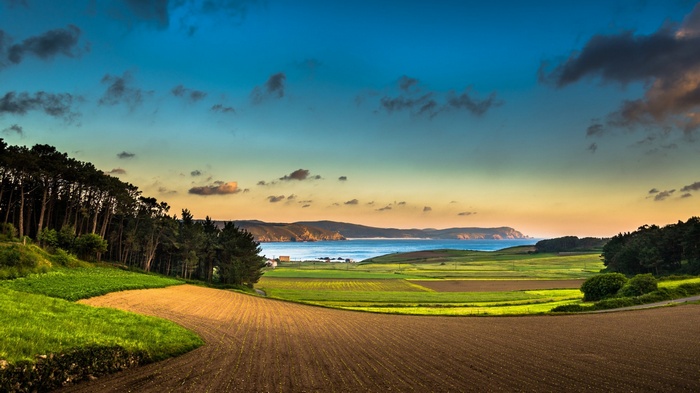 Fields and sea at sunset with forest and cliffs