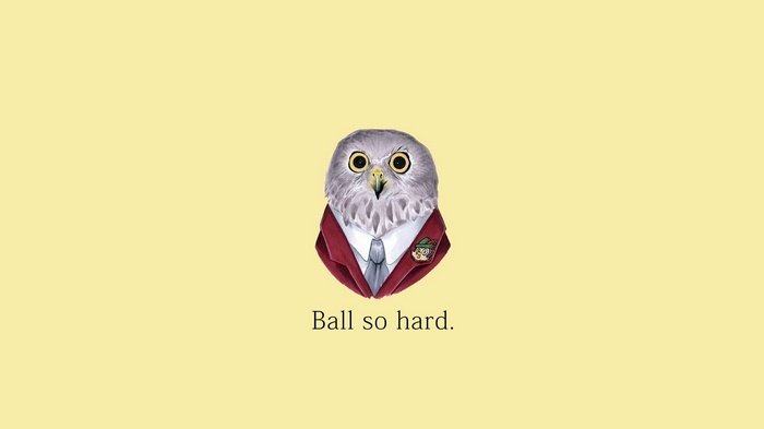 Owl wearing a suit with Kanye West quote
