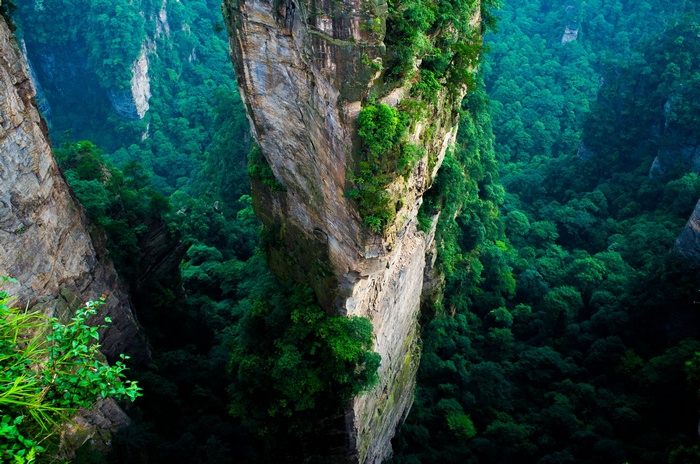 Aerial view of Zhangjiajie National Forest Park in China