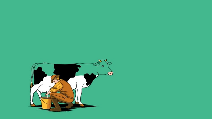 Farmer milking a cow with black and green patches