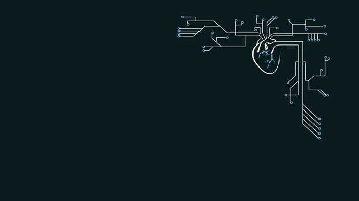 Digital heart with circuit board connections