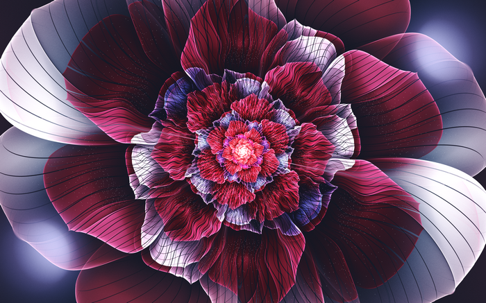 Abstract fractal flower with deep red and purple petals