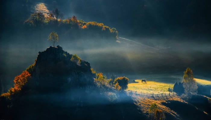 Misty Romanian Hills at Sunrise with Horse