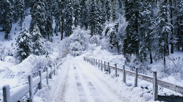 Snow-covered bridge in a winter forest landscape