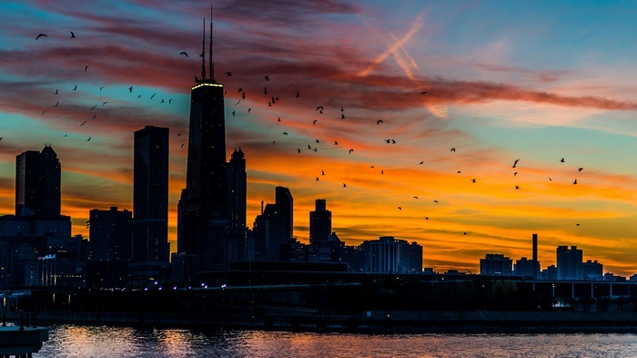 Chicago cityscape at sunset with birds flying
