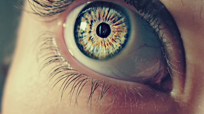 Macro shot of a human eye with colorful iris
