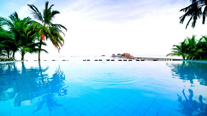 Infinity pool overlooking tropical ocean with palm trees