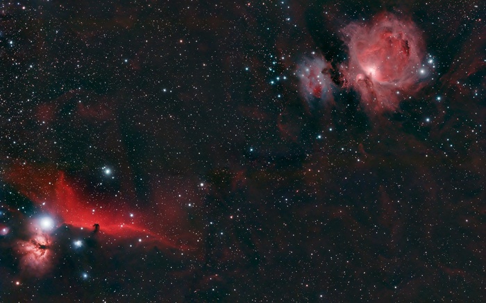 Orion Nebula and Horsehead Nebula in Space