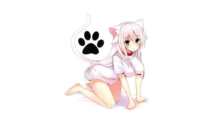 Anime cat girl with paw print tail