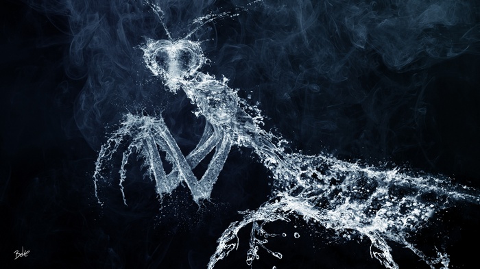 Praying Mantis made of water and smoke