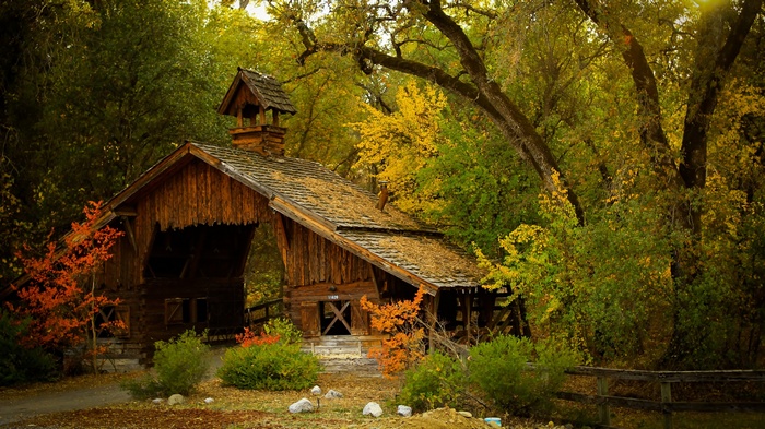 Wooden barn in a forest during fall
