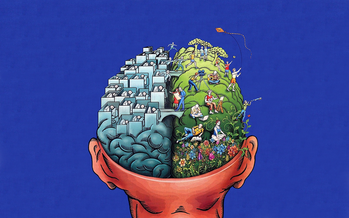 Brain divided into structured work and creative nature
