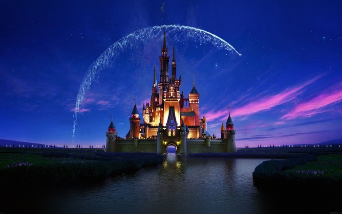 Disney Castle with Fireworks and Stars