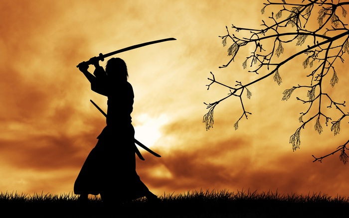 grass, sword, Sun, silhouette, branch, clouds, trees, katana, Japanese clothes, samurai, digital art
