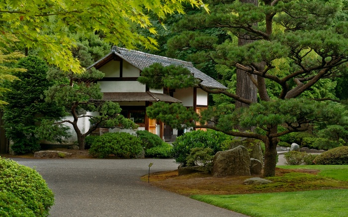 Japanese house surrounded by trees and garden