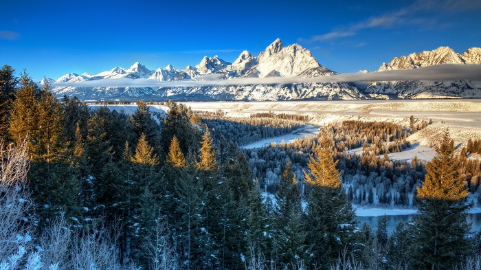 Yellowstone - Winter