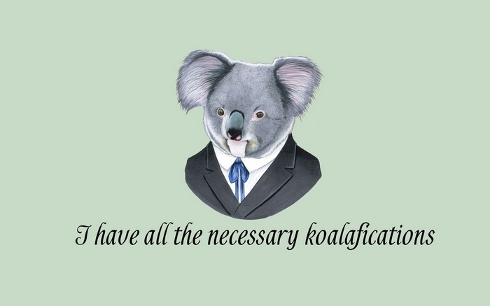 Koala in a suit with the quote "I have all the necessary koalafications"
