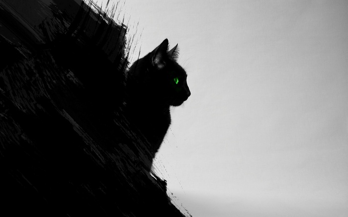 Black cat with green eyes and abstract black brush strokes