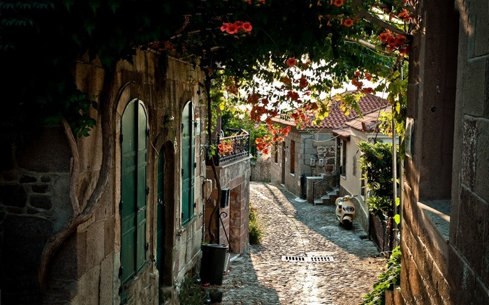 Cobblestone street with flowers in Italy
