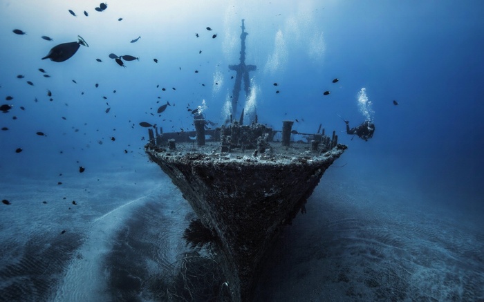 Divers explore a sunken shipwreck surrounded by fish