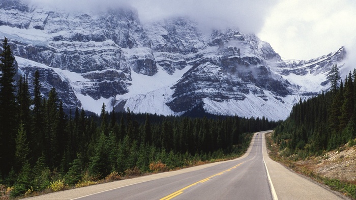 Winding road through a forest towards snow-capped mountains