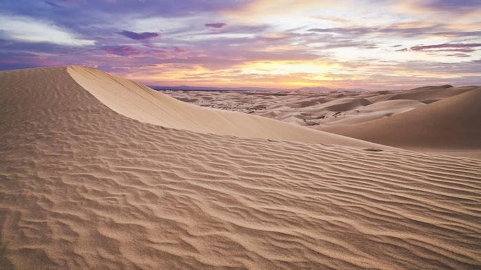 Desert landscape with sand dunes at sunset