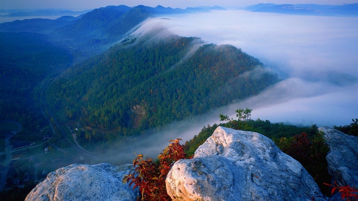 Misty mountains and forest from a rocky overlook