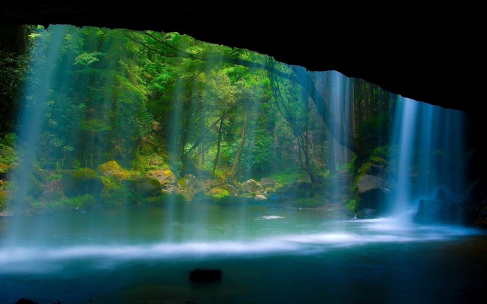Waterfall cascading into a jungle pool