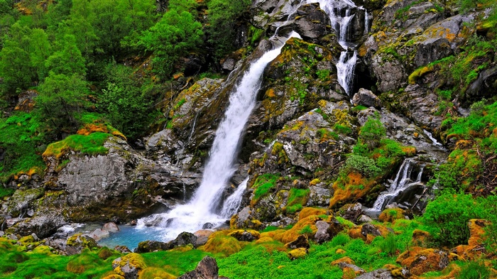 Waterfall cascading down mossy rocks in a forest