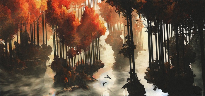 Dragons flying over a misty forest landscape