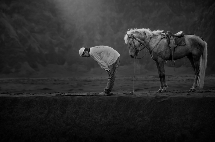 Man praying beside a horse in Indonesia
