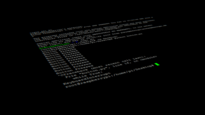 Raspberry Pi terminal with Python code