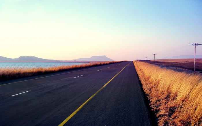 Road through a landscape with power lines