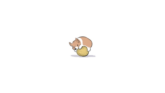 artwork, Corgi, humor, dog, white background, Pembroke Welsh Corgis, animals, minimalism