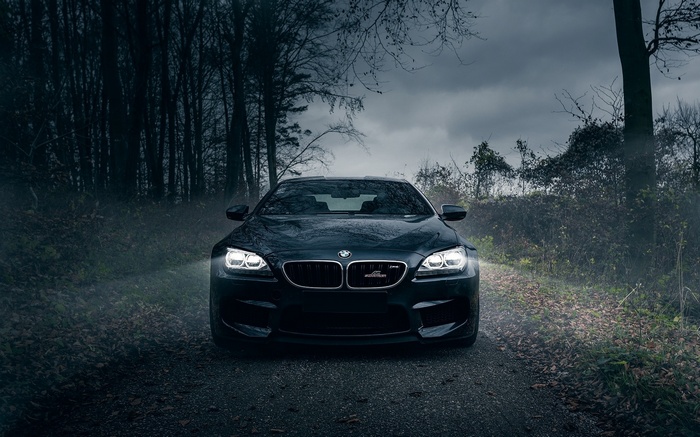 Black BMW M6 AC Schnitzer in a foggy forest